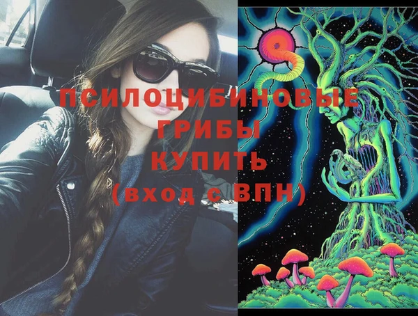 PSILOCYBIN Бугульма